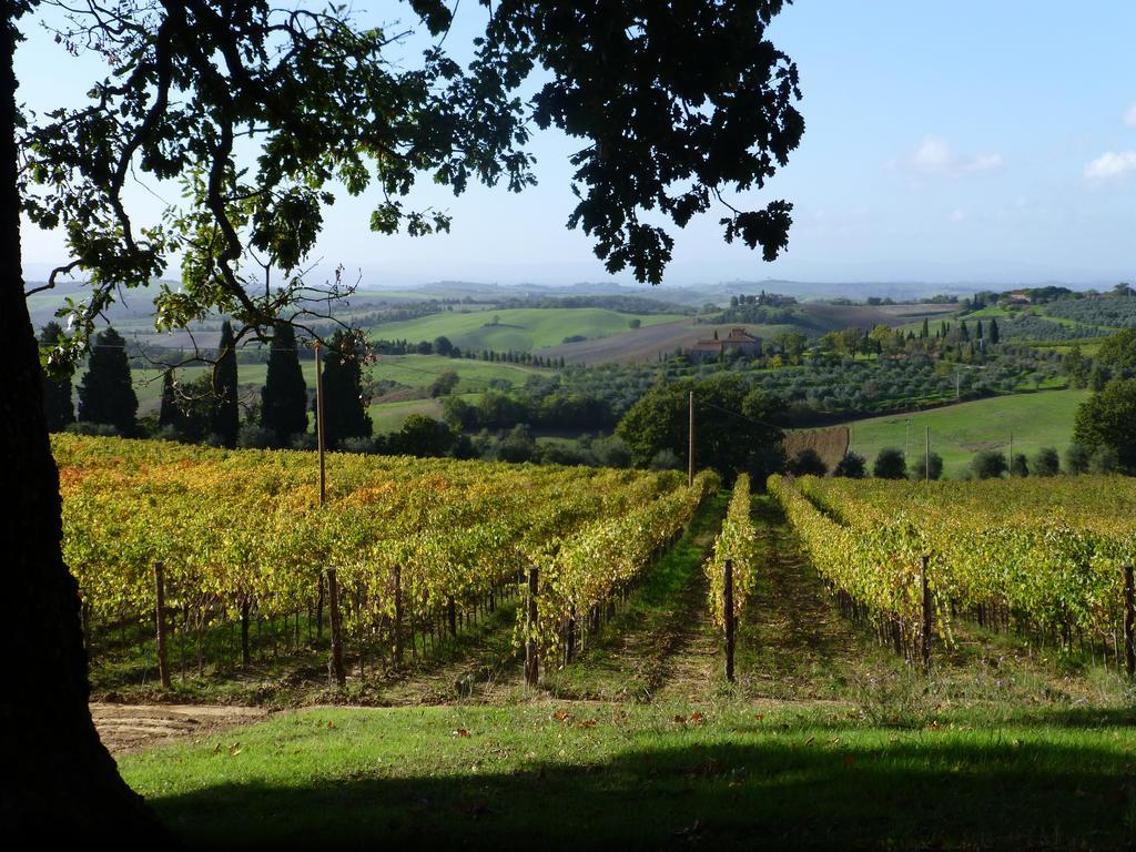 Fattoria Del Colle * Trequanda